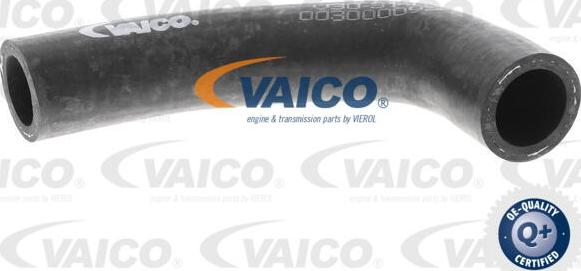 VAICO V30-3140 - Gibka cev hladilnika parts5.com