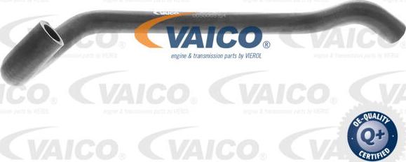 VAICO V30-2967 - Crevo hladnjaka parts5.com