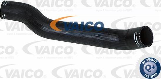 VAICO V24-0682 - Furtun ear supraalimentare parts5.com