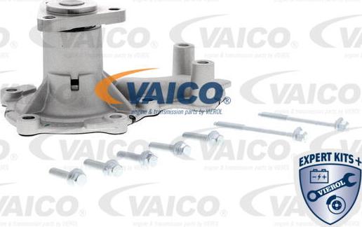 VAICO V25-50029 - Vodna crpalka parts5.com