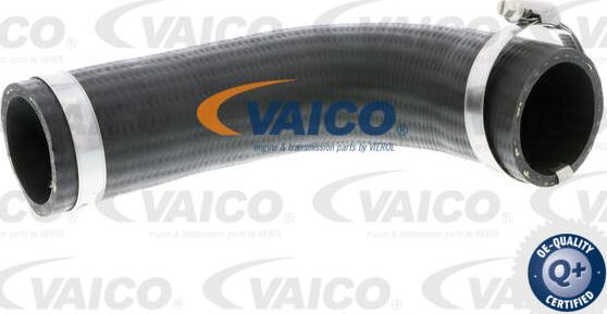 VAICO V25-0987 - Charger Intake Air Hose parts5.com