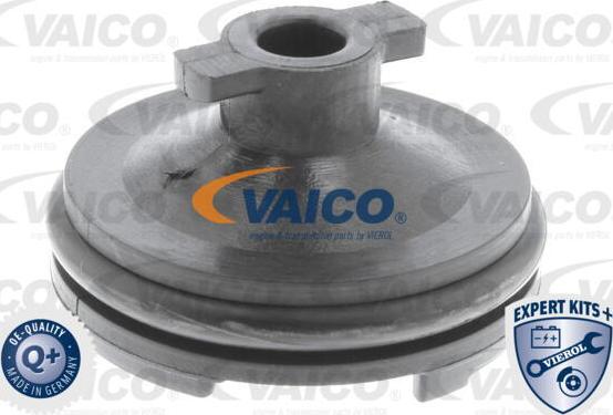 VAICO V25-1116 - Surub de golire,baia de ulei parts5.com