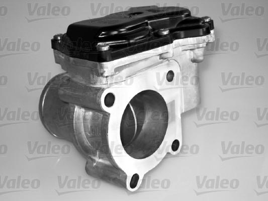 Valeo 700431 - Gaz kelebeği gövdesi parts5.com