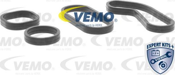 Vemo V42-60-0008 - Ψυγείο λαδιού, λάδι κινητήρα parts5.com