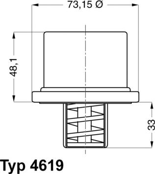 WAHLER 4619.82 - Termostat, chladivo parts5.com