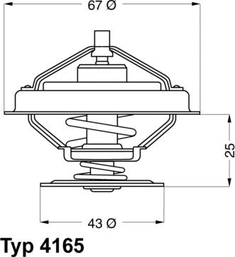 WAHLER 416579D - Termostaat,Jahutusvedelik parts5.com