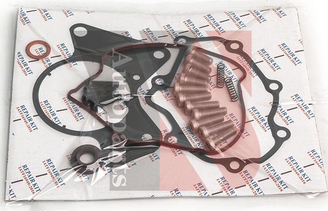 Ysparts YS-VP35XLB01 - Set reparatie, pompa vacuum (Siste frana) parts5.com