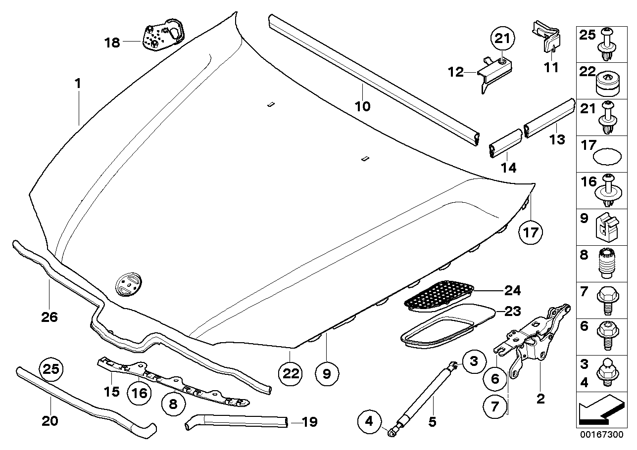 BMW 51237060550 - Gas Spring, bonnet parts5.com