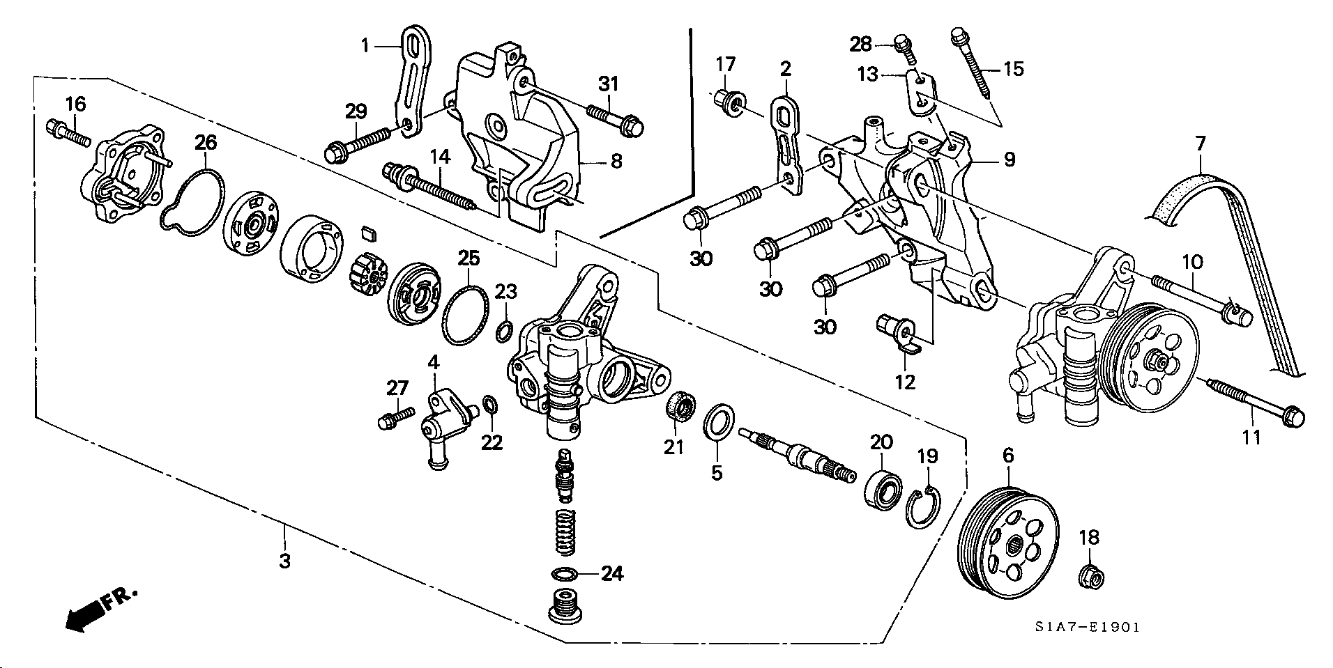 Honda 56992-PDA-E01 - Pasek klinowy wielorowkowy parts5.com