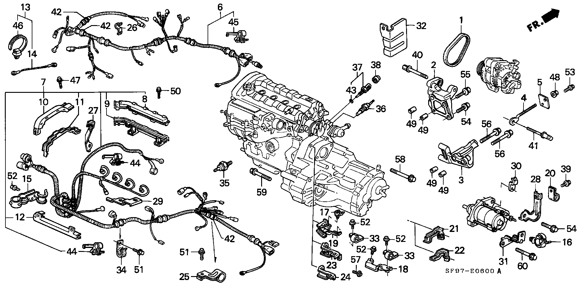 Honda 31110PK1003 - Pasek klinowy wielorowkowy parts5.com