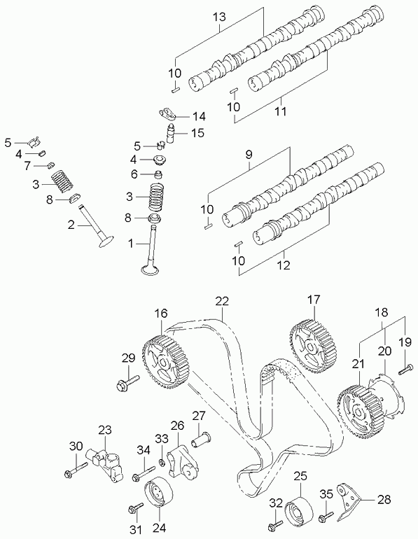 Hyundai 24312 39800 - Zupčasti remen parts5.com