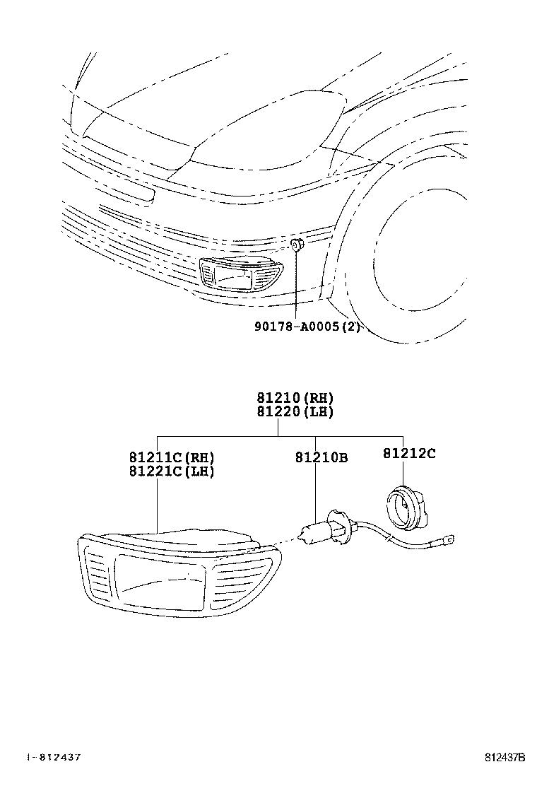 TOYOTA 9008081084 - Bulb, fog light parts5.com